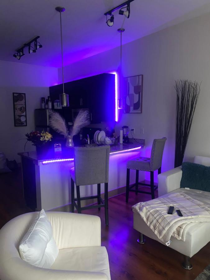 애틀랜타 1Bd Gorgeous Loft In Buckhead Free Wi-Fi, Parking 아파트 외부 사진
